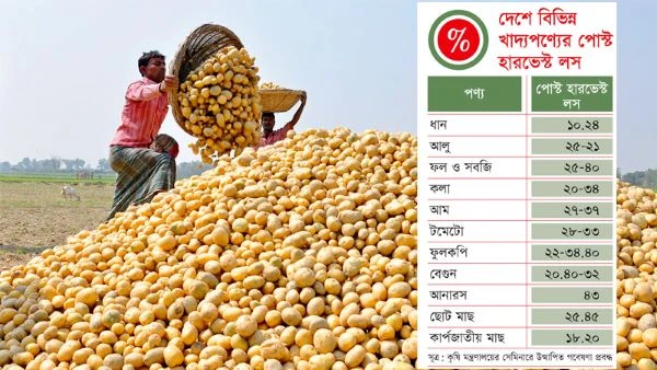 বাংলাদেশে টমেটো ও আলুর সংগ্রহ-পরবর্তী বিভিন্ন পর্যায়ে নষ্ট এক-তৃতীয়াংশ ধানে ১০.২৪%